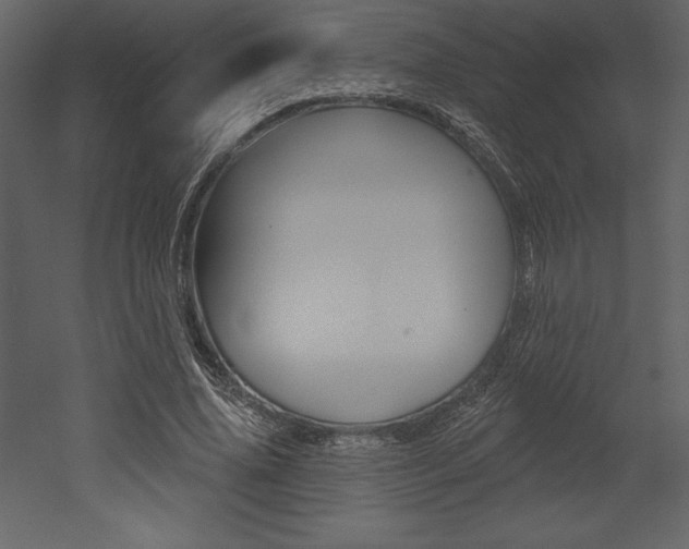 X0000053000636200507080956