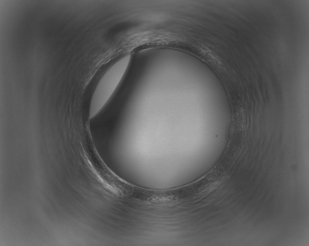 X0000053000638200507080956