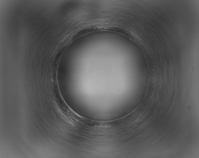 X0000053000639200507080956