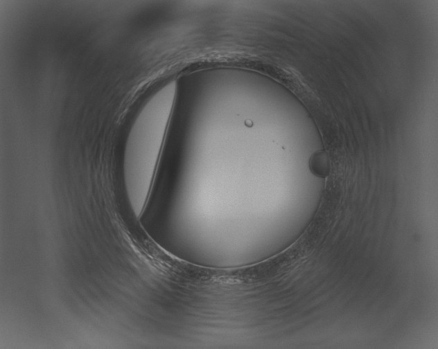 X0000053000640200507080956
