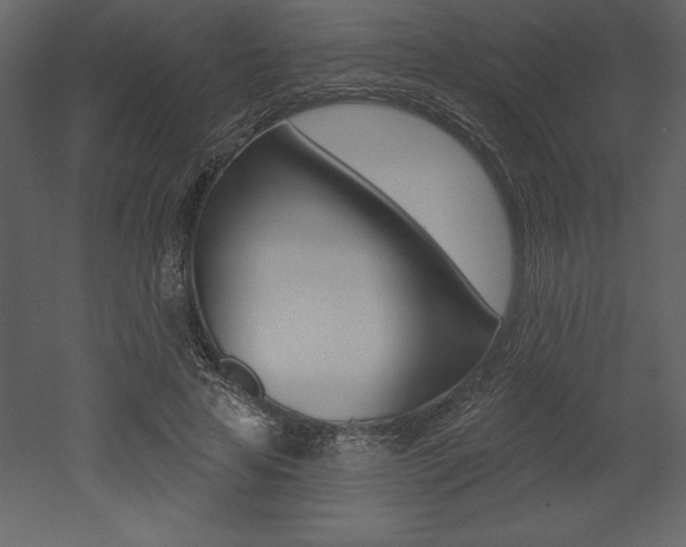 X0000053000641200507080956