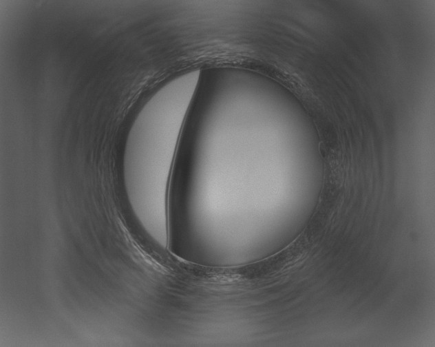 X0000053000642200507080956