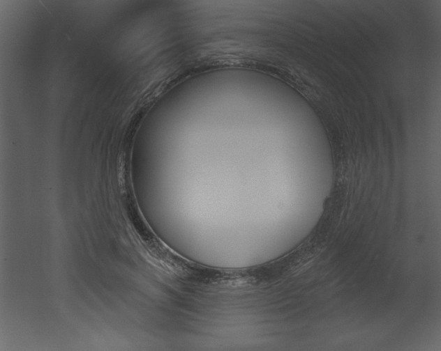 X0000053000646200507080956