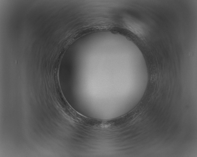 X0000053000647200507080956