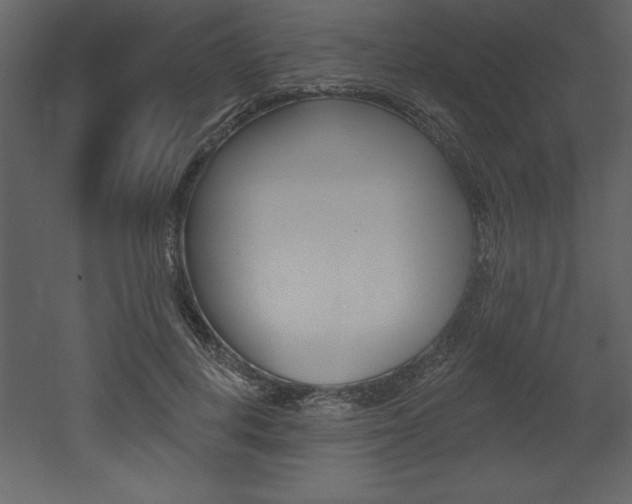 X0000053000648200507080956