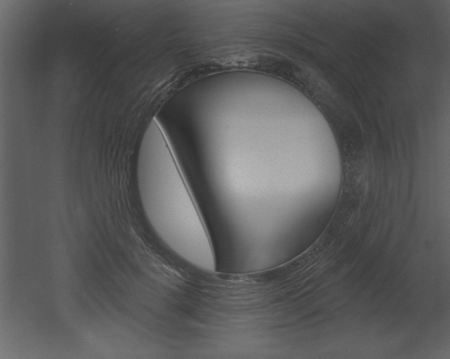 X0000053000652200507080956