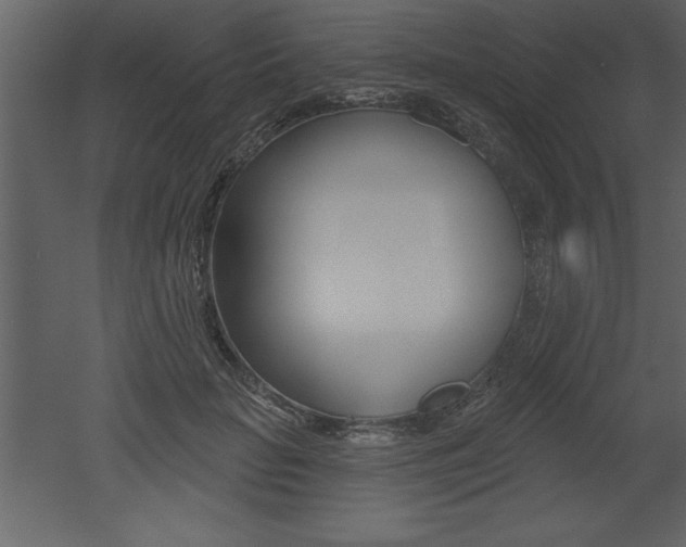 X0000053000653200507080956