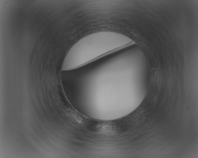 X0000053000655200507080956