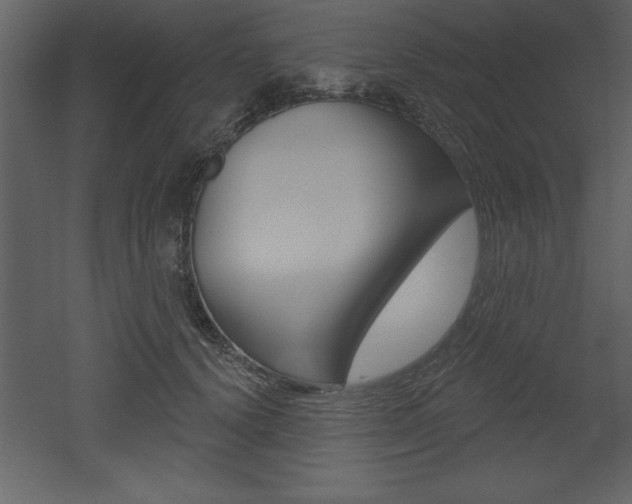 X0000053000656200507080956