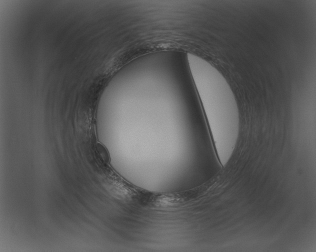 X0000053000657200507080956