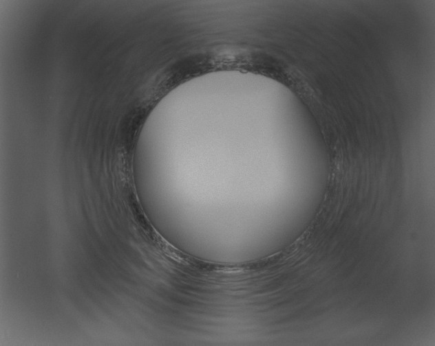 X0000053000659200507080956
