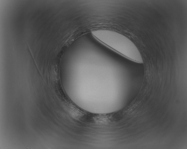 X0000053000661200507080956