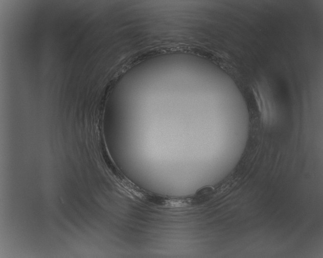 X0000053000662200507080956