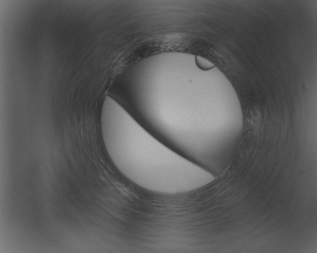 X0000053000663200507080956