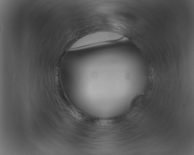 X0000053000664200507080956