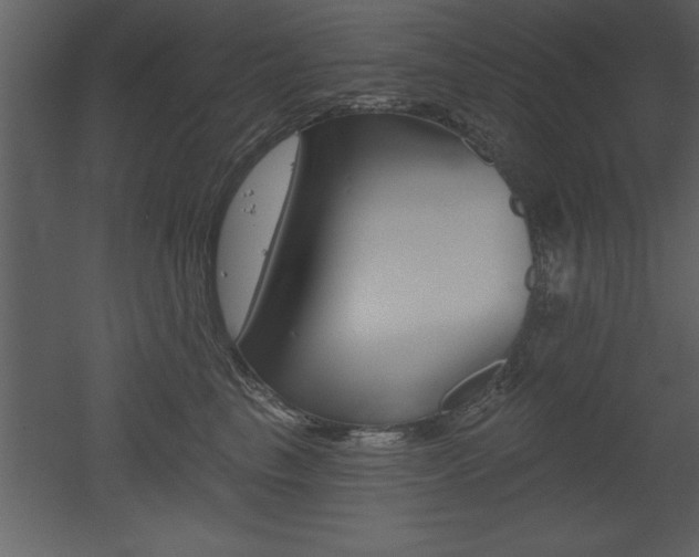 X0000053000665200507080957
