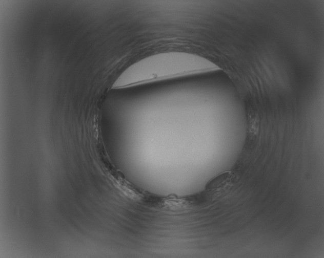 X0000053000666200507080957
