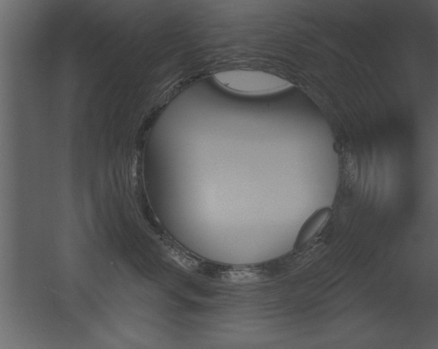 X0000053000668200507080957