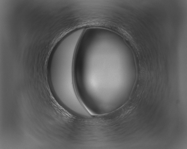 X0000053000673200507080956
