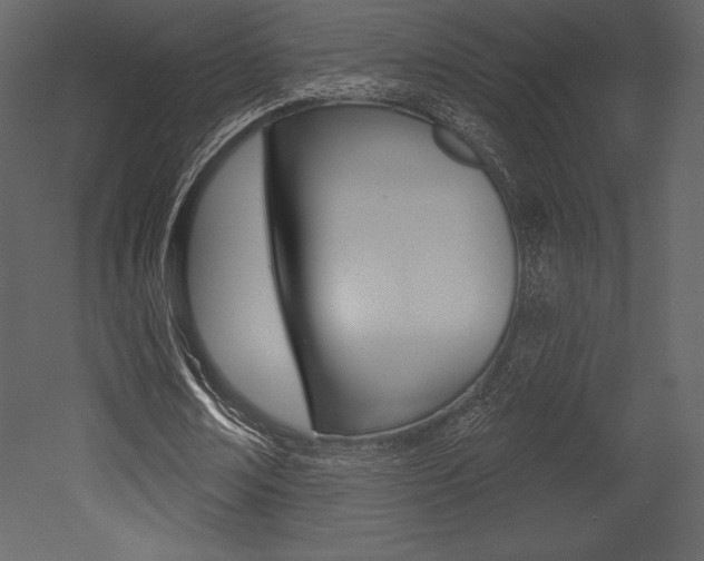 X0000053000674200507080956