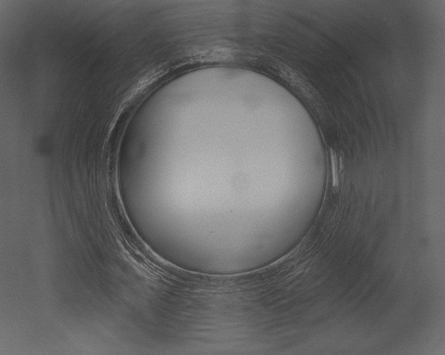 X0000053000675200507080956