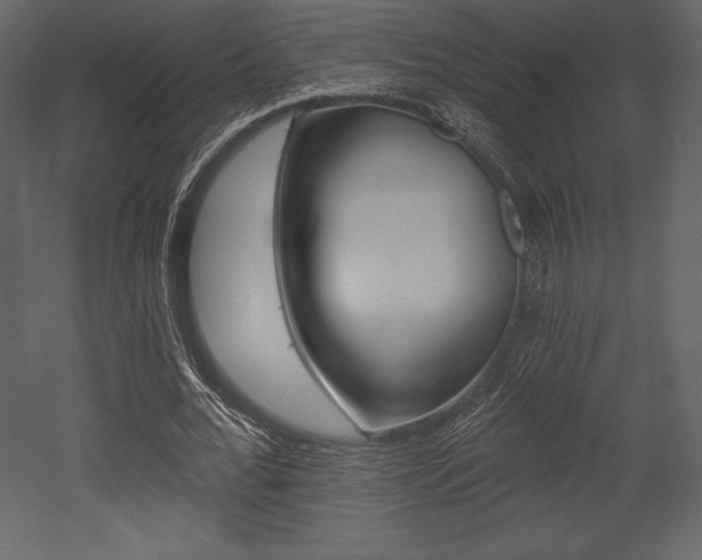 X0000053000676200507080956