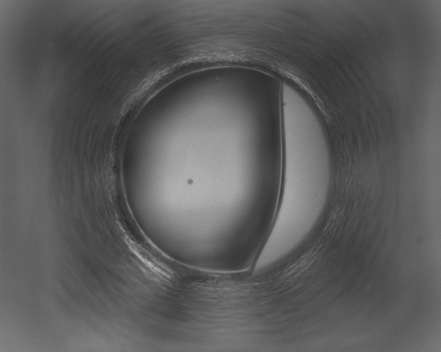 X0000053000677200507080956