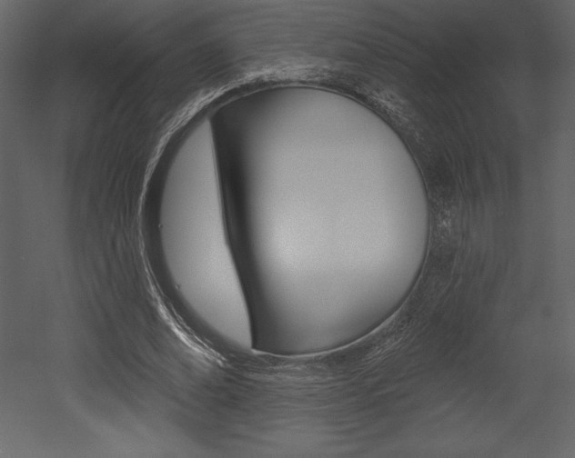 X0000053000678200507080956