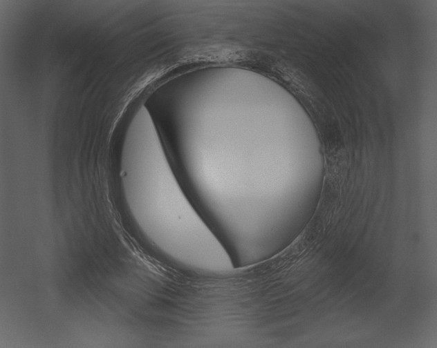 X0000053000679200507080956