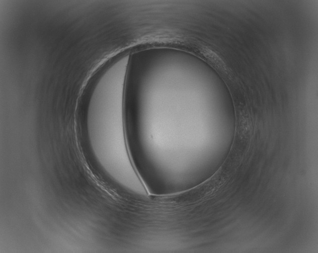 X0000053000680200507080956
