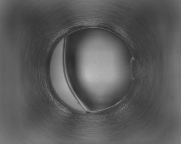 X0000053000681200507080956
