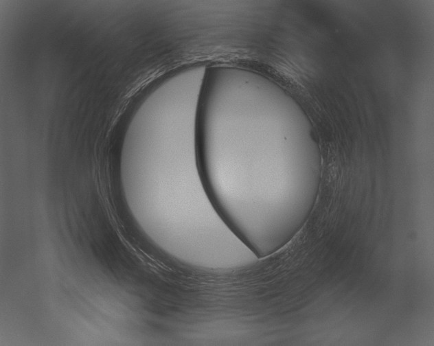 X0000053000683200507080956