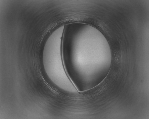 X0000053000685200507080956