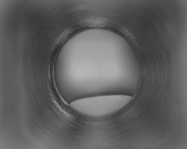 X0000053000686200507080956
