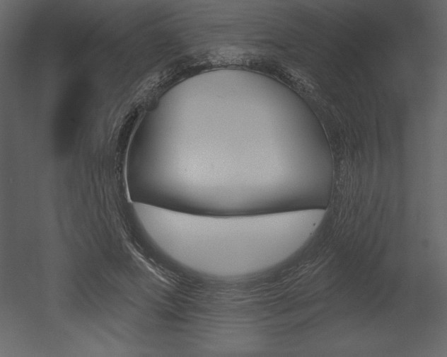 X0000053000687200507080956