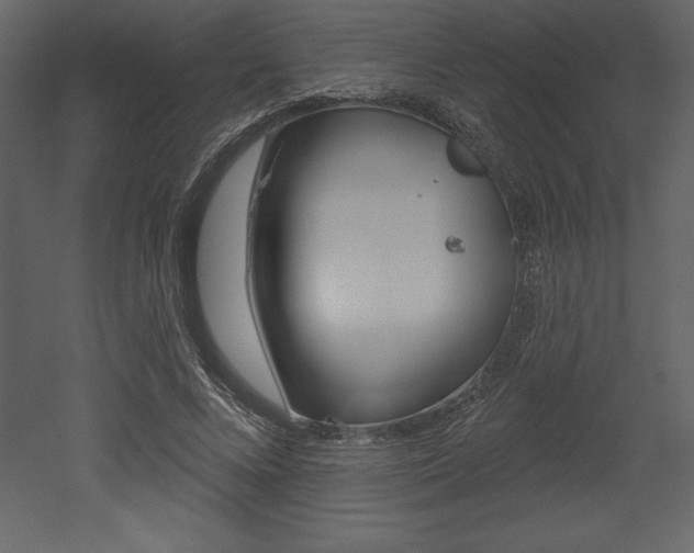 X0000053000688200507080956
