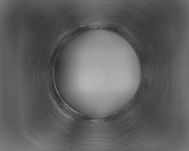 X0000053000690200507080956