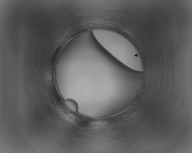 X0000053000691200507080955