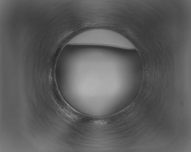 X0000053000692200507080955