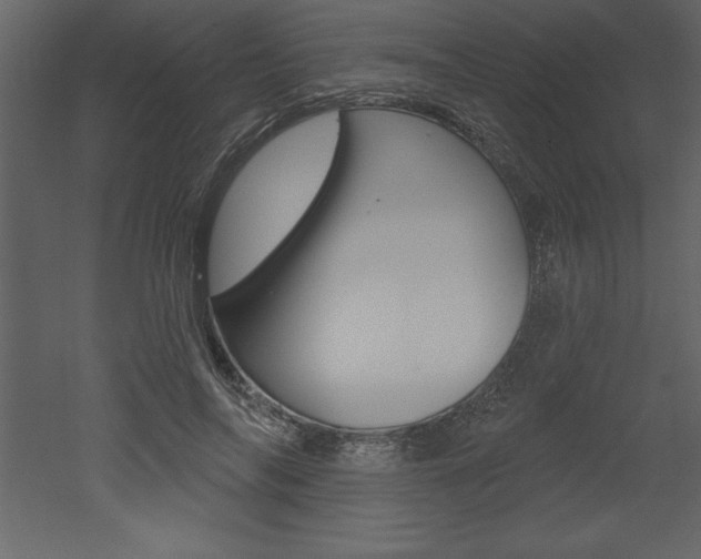 X0000053000694200507080955
