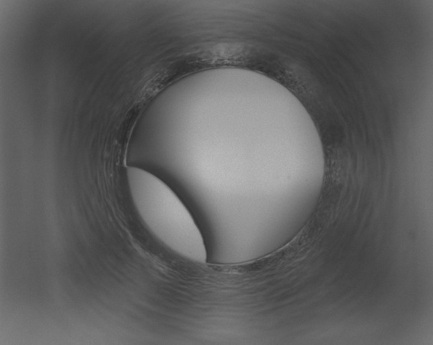 X0000053000695200507080955