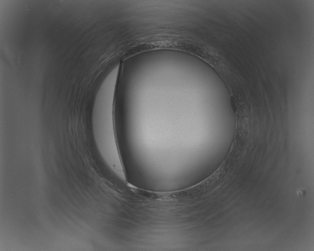 X0000053000696200507080955