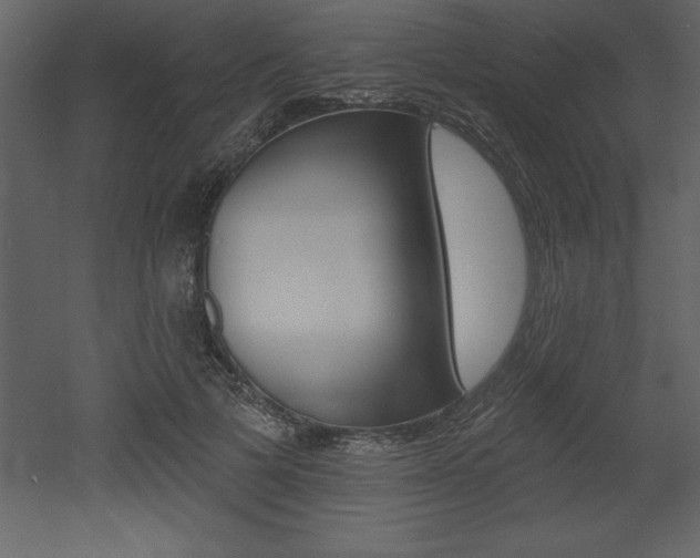 X0000053000697200507080955