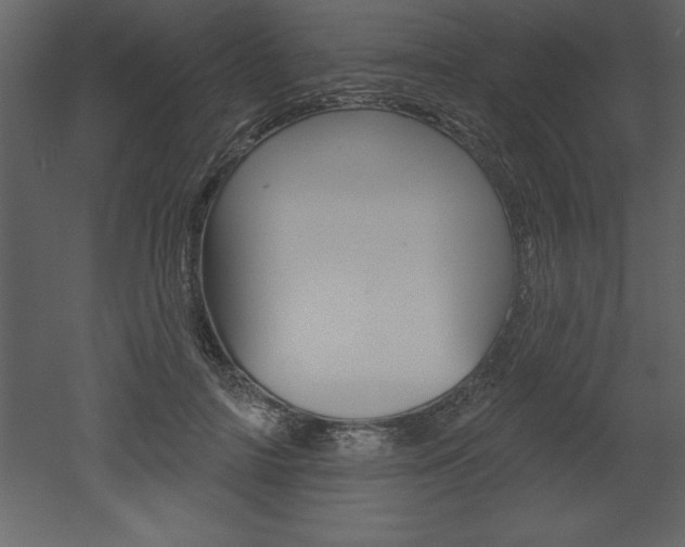 X0000053000698200507080955