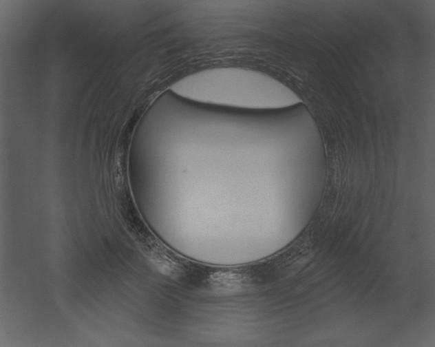 X0000053000699200507080955