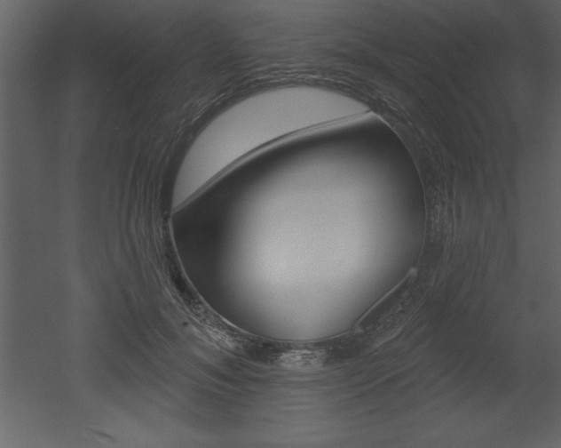 X0000053000700200507080955
