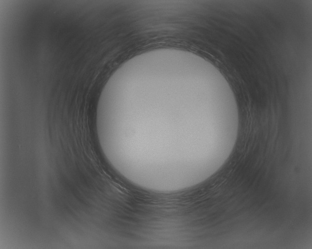 X0000053000701200507080955