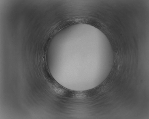 X0000053000702200507080955