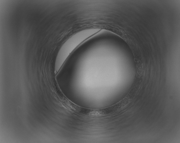 X0000053000704200507080955