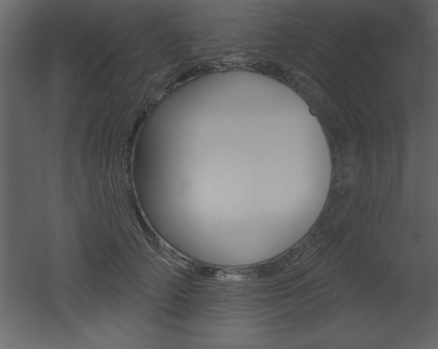 X0000053000706200507080955